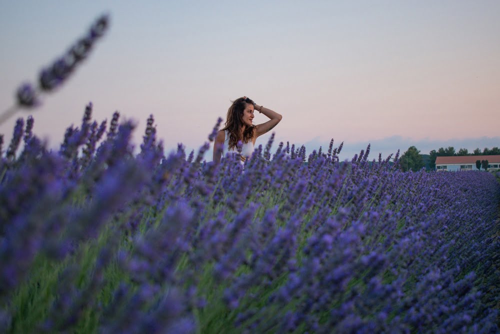 Campi di Lavanda in Toscana 