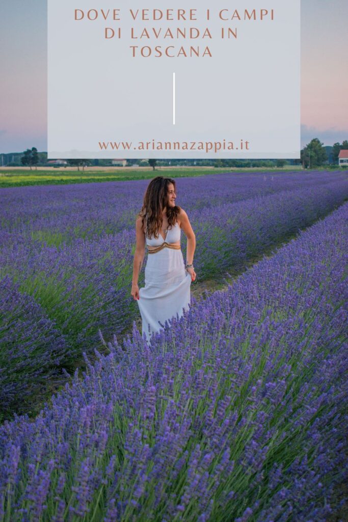 Dove vedere la lavanda in Toscana 