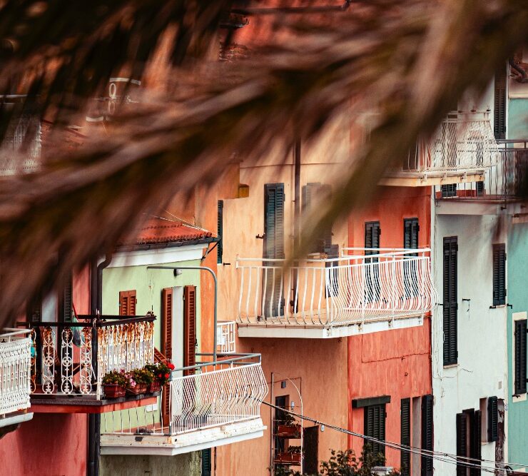 immagine di case colorate con palma davanti