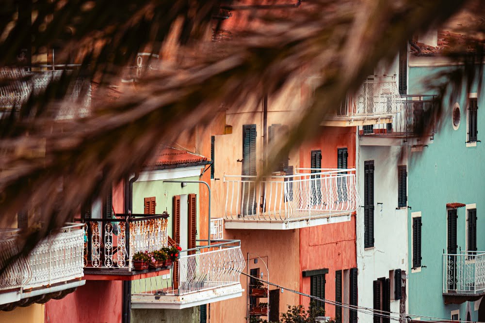 immagine di case colorate con palma davanti