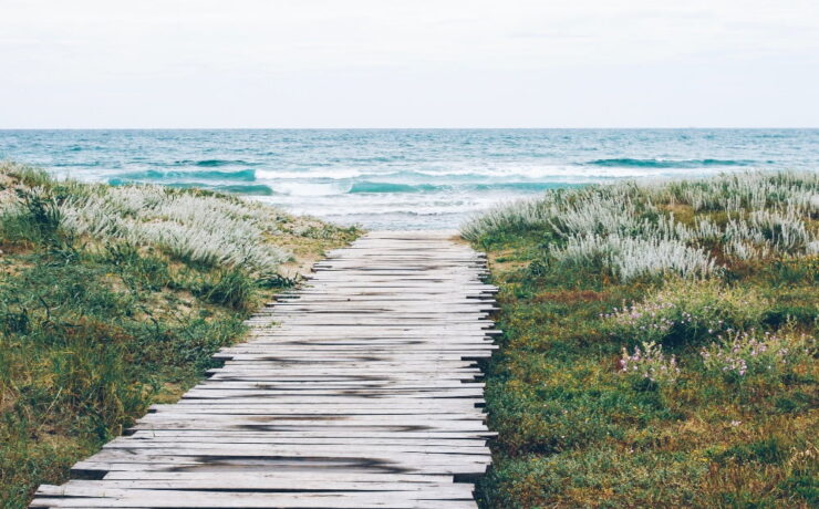 spiagge in toscana sentiero che porta alla spiaggia