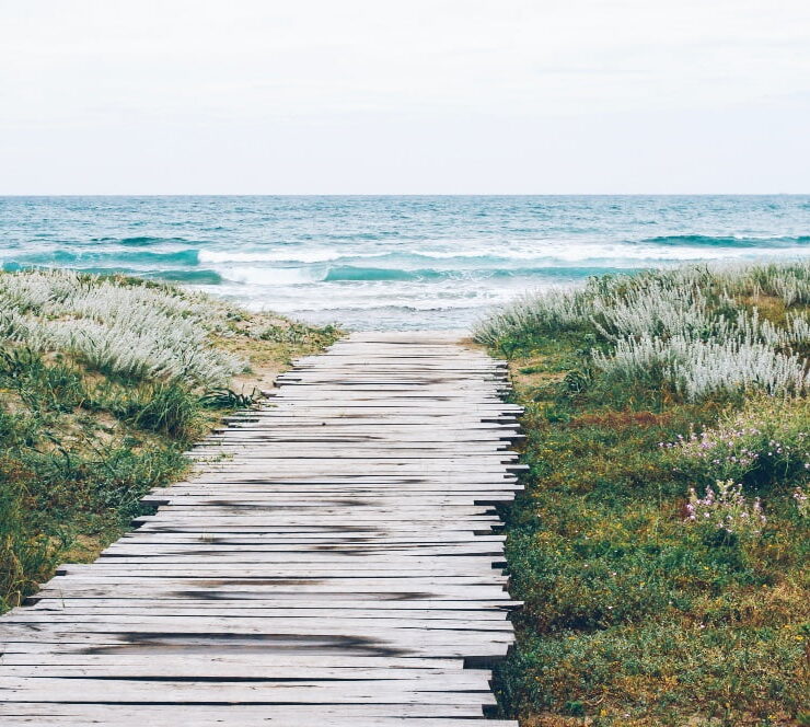 spiagge in toscana sentiero che porta alla spiaggia