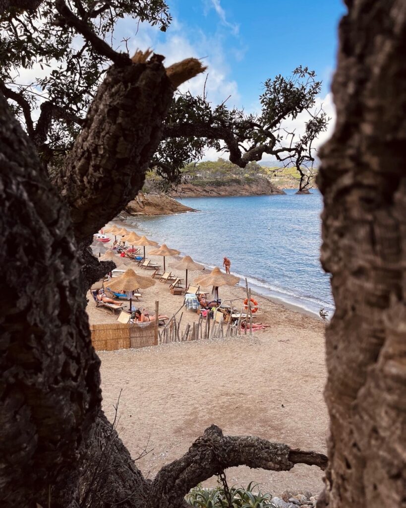 dove andare al mare all'Isola d'Elba 
